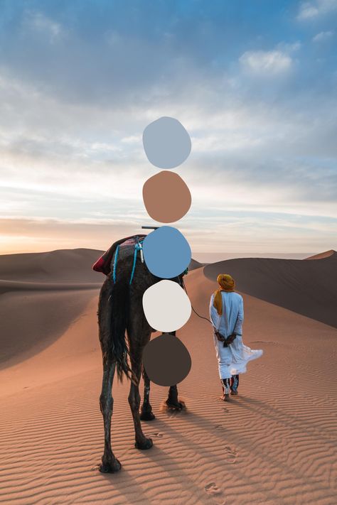 Color Palette Photography, Desert Color Palette, Love Campaign, In Color Balance, Dune Movie, Movie Color Palette, Photography Assignments, Desert Colors, Office Pictures