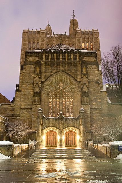 Yale University.....When I lived in New Haven, I would wander around by myself for hours. It never ceased to amaze me. Yale Law, Dream University, Ninth House, New England States, New Haven Ct, Dream College, Yale University, Dream School, University Life