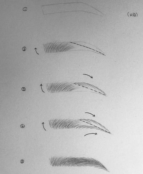 Eye Brows Drawing, Brows Drawing, Makeup Artist Aesthetic, Round Eyebrows, Drawing Natural, Draw Eyebrows, Shading Drawing, Easy Drawings For Beginners, Eye Drawing Tutorials