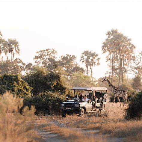 Is a #safari on your bucket list? Look no further than the wildlife wonders of #Botswana. "Within minutes of taking off from Maun, the tourism capital of Botswana, I’ve already spotted elephants, hippos, zebras, buffalos and giraffes from the plane window. Having contorted my body into one of only 12 seats aboard, it’s a thrilling start to my weeklong air-hopping safari." Continue reading about the wonders of this African nation as #DanikaPorter recounts her adventure via the #linkinbio. 📷... Botswana Aesthetic, Botswana Culture, Botswana Photography, Botswana Safari, Plane Window, Okavango Delta, Luxury Lodge, House Luxury, Masai Mara