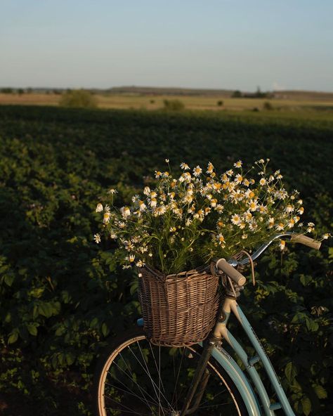 stinaninnas op Instagram: "Mornings here . ." Summer Aesthetic Photography, Spring Instagram Aesthetic, Shekinah Core, Spring Homescreen, Spring Vibes Aesthetic, Moodboard Images, Farm Aesthetic, Pictures Of Beautiful Places, Rural Lifestyle