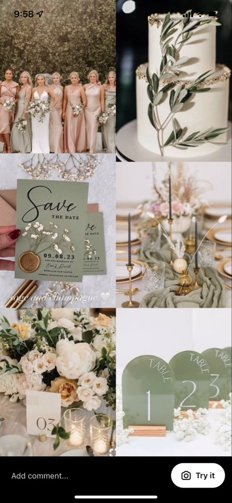 Elegant Wedding Color Schemes Classy, Elegant Wedding Color Schemes, June Wedding Colors, Champagne Wedding Themes, Bridesmaid Dress Color Schemes, Green Fall Weddings, Sage Green Wedding Theme, Sage Wedding Colors, Elegant Wedding Colors