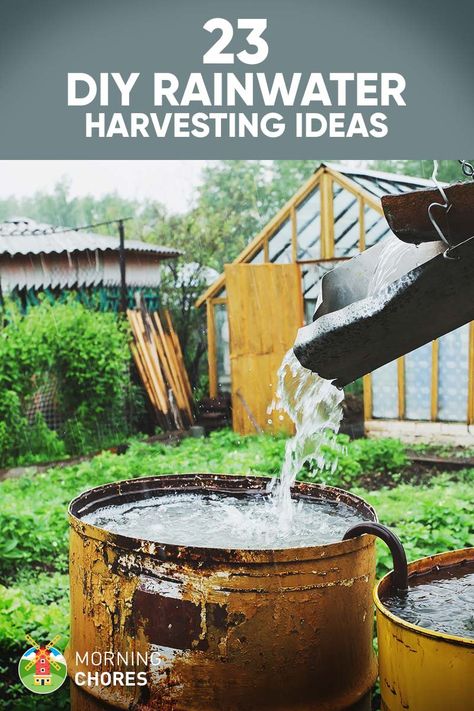 23 Awesome DIY Rainwater Harvesting Systems You Can Build at Home Rain Water Collection Diy, Rainwater Collection System, Water From Air, Rain Harvesting, Rainwater Collection, Water Harvesting, Rainwater Harvesting System, Architecture Renovation, Rain Barrels