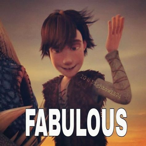 Hiccup Httyd, Ur Dragon, Httyd Funny, Dragon Httyd, Hiccup Haddock, Dragon Memes, Train Dragon, Httyd Dragons, Httyd 3