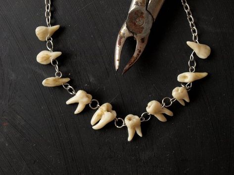 image 0 Teeth Necklace, Gothic Jewelry Diy, Human Teeth, Gothic Jewellery, Gothic Boho, Taxidermy Art, Vulture Culture, Teeth Jewelry, Tooth Necklace