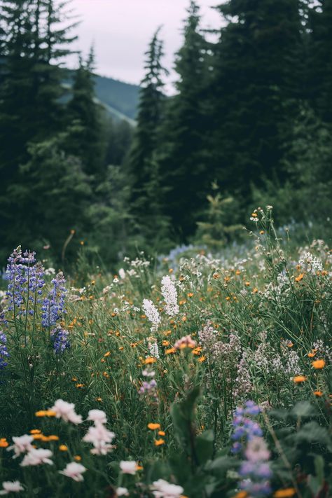 Discover a tranquil meadow brimming with wildflowers, where purple lupines dance beside pristine white blossoms, all set against majestic evergreens fading into the mist. Let nature inspire you. 🌼🌲 Save this beauty and follow us at treetee for more nature escapes. Floral Forest Aesthetic, Forest Meadow Aesthetic, Wild Flowers Aesthetic, Washington Wildflowers, Evergreen Aesthetic, Montana Wildflowers, Meadow Aesthetic, Wildflowers Aesthetic, Wildflower Aesthetic