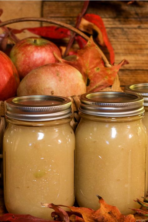 Canning Apple Sauce, Applesauce Recipes, Canned Applesauce, Old World Garden, Canning Apples, Slow Cooker Applesauce, Freezing Apples, Canning 101, Apple Sauce Recipes