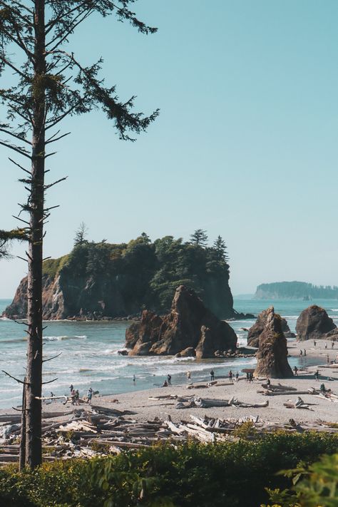 Pnw Beach Aesthetic, Washington Coast Aesthetic, Beach Forest, Ruby Core, Washington Coast, Ruby Beach Washington, Pnw Aesthetic, Washington Beaches, Muir Beach