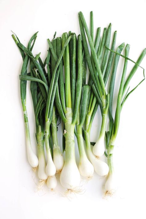 Green Onion Photography, Fresh Vegetables Photography, Onion Recipes Healthy, Onion Photography, Spring Onion Recipes, Dill Butter, Vegetable Photography, Vegetables Photography, Spring Onions