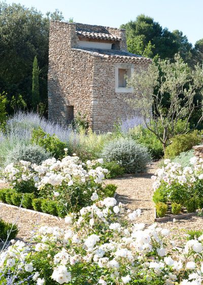 12 European Country Side and Provencal Gardens Olive Trees Landscape, Landscape Lavender, Garden Lavender, Mediterranean Gardens, Provence Garden, Mediterranean Landscape, Minimalist Garden, Mediterranean Landscaping, Lavender Garden