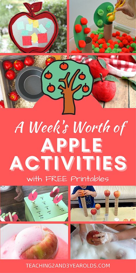 Apple Lesson Plans, Apple Theme Activities, Preschool Apple Activities, Preschool Apples, Preschool Apple Theme, September Preschool, Apple Week, Apple Lessons, Apple Crafts