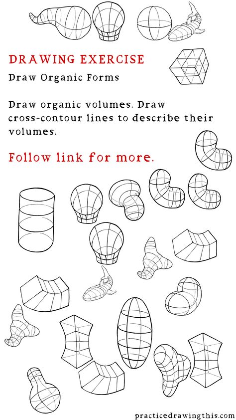 Drawing Exercises - Draw organic volumes. Draw cross-contour lines to describe their volumes. Perspective Exercises, Crazy Perspective, Form Practice, Drawing Training, Shapes Drawing, Quotes Creativity, Drawing 101, Geometric Shapes Drawing, Basic Sketching