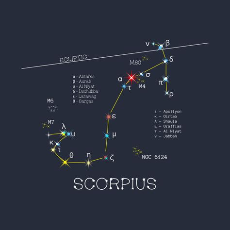 Scorpius Constellation, Star Astronomy, Space Mural, Space Journal, Constellation Scorpio, Constellation Of Stars, Space Shuttle Challenger, Astronomy Constellations, Planetary Science