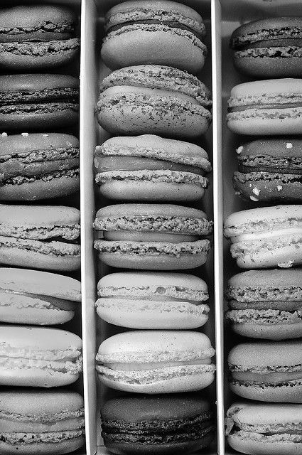 Gray | Grey | Gris | グレー | Grigio | серый | Gurē | Colour | Texture | Pattern | Style | Design | Macarons "Carette", Paris Carette Paris, Aesthetic Grey, Grey Aesthetic, Color Aesthetic, Gray Matters, Gray Aesthetic, 50 Shades Of Grey, Black And White Aesthetic, Shades Of Gray