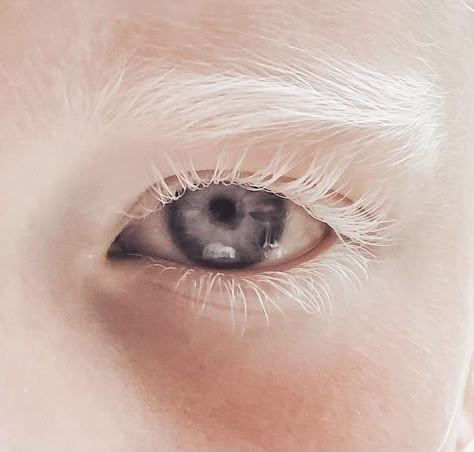 White Lashes Drawing, White Eyebrows Aesthetic, White Eyelashes Aesthetic, White Eyelashes Drawing, White Eyes Aesthetic, White Eyelashes Makeup, Albino Eyes, Unusual Eyes, White Lashes