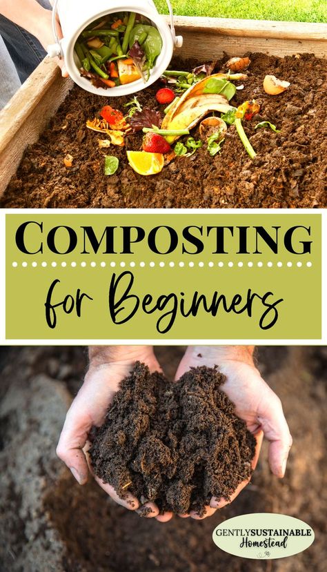 Homemade Compost, Composting For Beginners, Compost Bin Pallet, Compost Bin Diy, Diy Compost, Compost Pile, How To Make Compost, Composting At Home, Garden Area