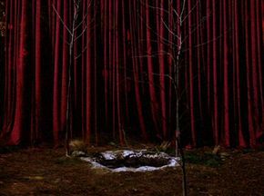 The entrance to the Black Lodge, surrounded by Sycamore Trees. *Twin Peaks Dale Cooper Twin Peaks, Twin Peaks Aesthetic, The Black Lodge, Twin Peaks Art, Twin Peaks 1990, Agent Dale Cooper, Twin Peaks Fire, White Lodge, Dale Cooper