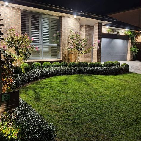 Front Lawn Hedge Ideas, Front Landscaping Ideas Simple, Bush Ideas For Front Of House, Topiary Landscaping Front Yard, Bush For Front Of House, Hedging In Front Of House, Short Hedges In Front Of House, Town House Front Yard Ideas, Front Yard Landscape Modern