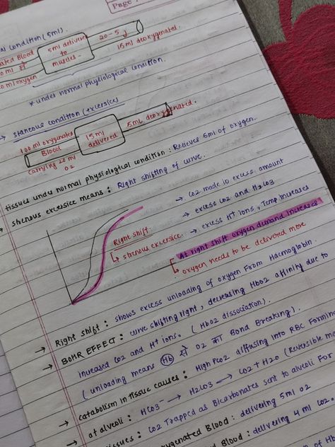 Breathing And Exchange Of Gases, Biology Class 11, Neet Notes, Biology Facts, Class 11, Biology Notes, Hand Writing, Study Motivation Inspiration, Study Aesthetic