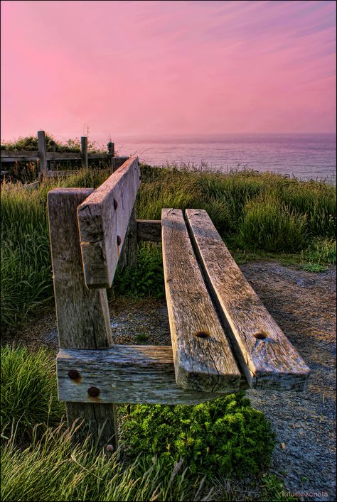 An old bench at the clifftop walk from Aberporth to Tresaith, Wales Beach Bench, Bed Seat, Old Benches, Hammock Bed, Old But Gold, Cottage By The Sea, Relax Time, Perfect World, Places And Spaces