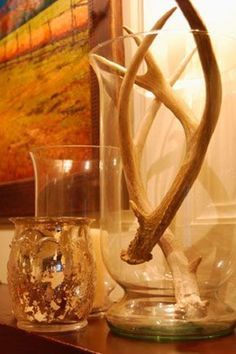 Antler Ideas, Deer Antler Decor, Antler Crafts, Deer Horns, Antler Art, Hunting Decor, Deer Decor, Glass Vases, Deer Antlers