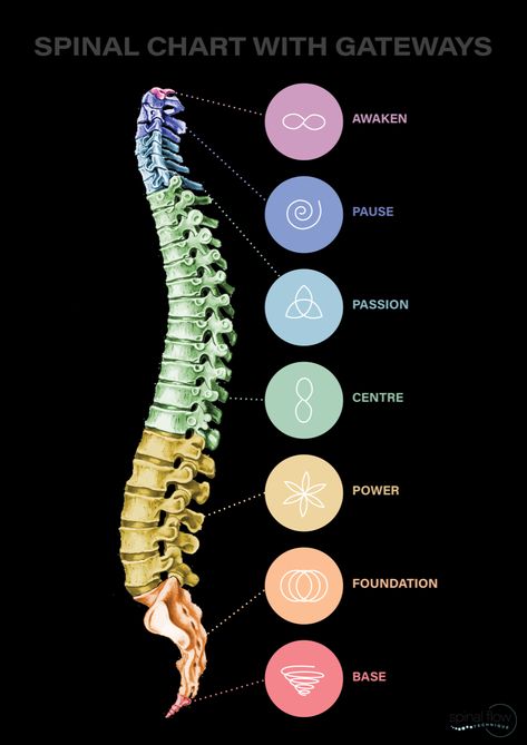 Here is the chart of the 7 spinal gateways that Spinal Flow Practitioners are taught to understand more about the spine and nervous system to help their clients heal Spinal Energetic, Spinal Flow Technique, Spinal Energy, Spine Frequencies, Spinal Cord Diagram, Spinal Energetics, Spine Chart, Spine Painting, Spinal Flow