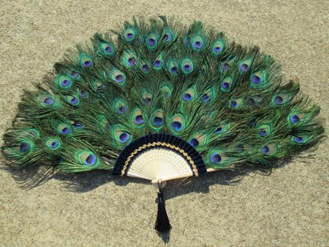 LVictoriaCollections Extra Large Peacock Feather Fan     33 to 36 inches  Made to Order   Wall Display Etc. Real feathers! 121 Peacock Feather Fan, Mini Dishwasher, Peacock Feather Tattoo, Antique Fans, Peacock Decor, Feather Fan, Types Of Gold, Feather Tattoo, Gold Embellishment