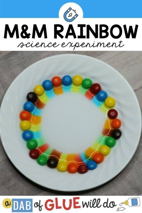 This M&M Rainbow Science Experiment is an easy way to teach students about mixing colors and creating new colors. Add this simple science to your busy day! Rainbow Science Experiment, Toddler Activities Daycare, Letter M Crafts, Science Activities For Toddlers, Rainbow Science, Rainbow Experiment, Starting To Run, Homeschool Science Experiments, Science Experiments Kids Easy