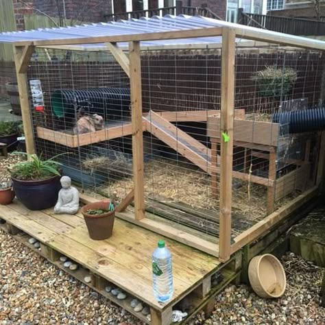 Bunny run/hutch Outdoor Rabbit Run, Rabbit Cages Outdoor, Rabbit Shed, Guinea Pig Run, Diy Rabbit Hutch, Rabbit Diy, Outdoor Rabbit Hutch, Outdoor Rabbit, Guinea Pig Hutch