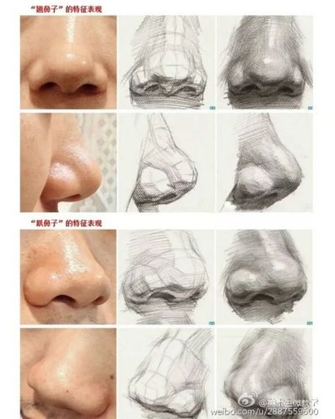 얼굴 드로잉, Nose Drawing, Human Anatomy Drawing, Drawing Heads, Academic Art, Anatomy Sketches, Anatomy Drawing, Photo Photo, Drawing Lessons