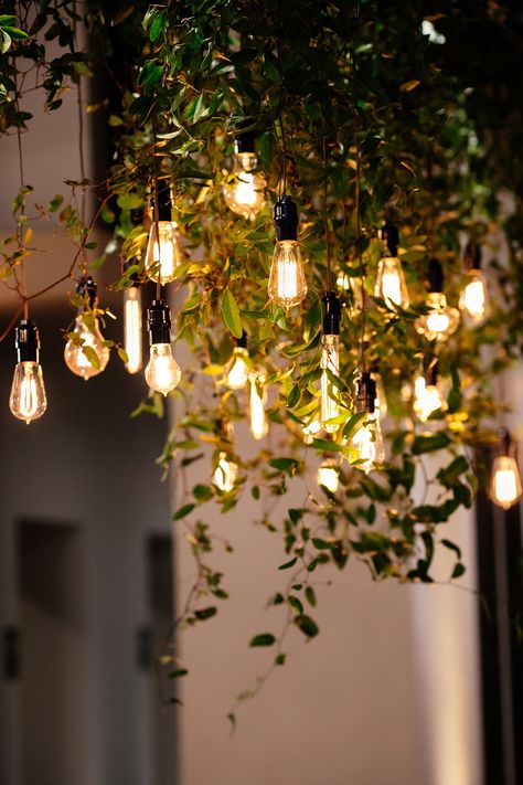 Edison Bulb Lighting, Elegant Dorm Room, Stationery Store Design, Greenery Background, Cotton Ball Lights, Dark Academia Wallpaper, Driveway Lighting, Academia Wallpaper, Background Images For Quotes