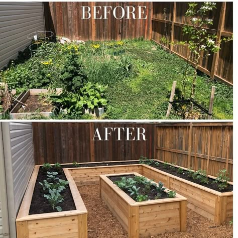 Home Vegetable Garden Design, Diy Raised Garden, Backyard Vegetable Gardens, Raised Garden Beds Diy, Plants Growing, Garden Inspo, Home Vegetable Garden, Backyard Garden Design, Vegetable Garden Design