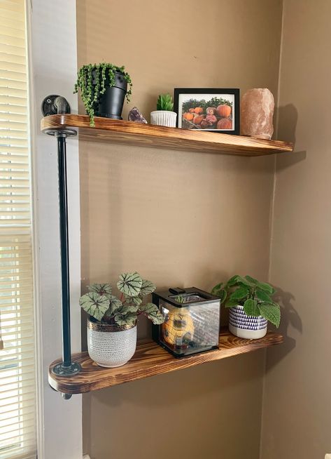 Wall Plant Shelf, Cinder Block Shelves, Wood Box Shelves, Black Pipe Shelf, Plant Shelving, Window Sill Shelf, Diy Corner Shelf, Industrial Pipe Shelf, Window Plant Shelf