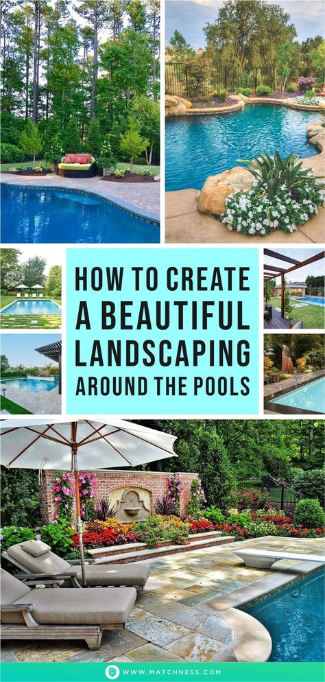 Swimming Pools Backyard Landscape, Affordable Pool, Landscaping Around Pool, Pool Area Ideas, Outdoor Yard Ideas, Pool Landscape Ideas, Pool Oasis, Inground Pool Landscaping, Simple Pool