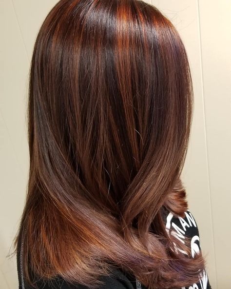 Deep Brown Hair With Copper Highlights, Brown Hair W Ginger Highlights, Dark Red Copper Highlights, Cooper Highlights On Red Hair, Red Toned Highlights Brown Hair, Copper Hilights On Dark Hair, Copper Low Lights Dark Brown, Red On Brown Balayage, Brown Copper Hair Color With Highlights