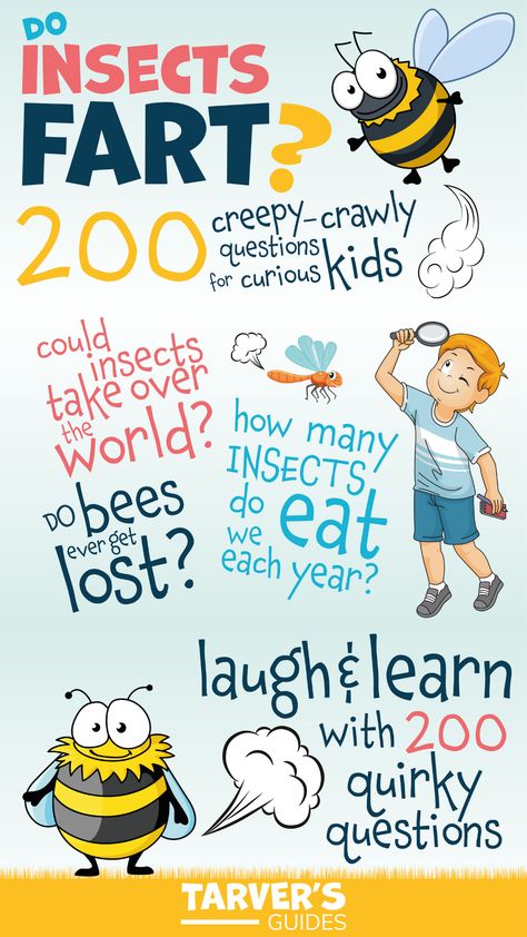 Wondering if insects fart? Wonder no more! This fun facts book for kids will teach you everything you ever wanted to know about creepy-crawlies, from their diet to their bathroom habits. A great summer holiday activity for curious minds. #kidsbooks #summerholidays #summerreads #funnybooksforkids Summer Holiday Activities, Funny Books For Kids, Fun Facts For Kids, Curious Kids, Facts For Kids, Creepy Crawlies, Taking Over The World, Bugs And Insects, Book For Kids