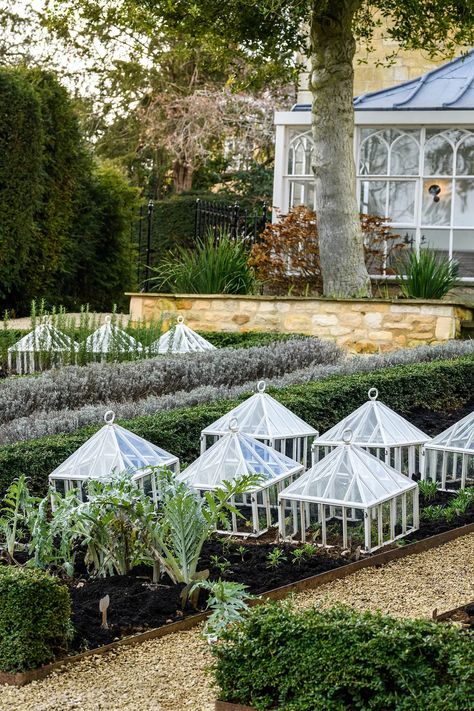 Undercover artists: reinventing the garden cloche Garden Cloches, Gardens Illustrated, Garden Cloche, Market Garden, Garden Mini, Mini Greenhouse, Plant Protection, The Greenhouse, Back Gardens