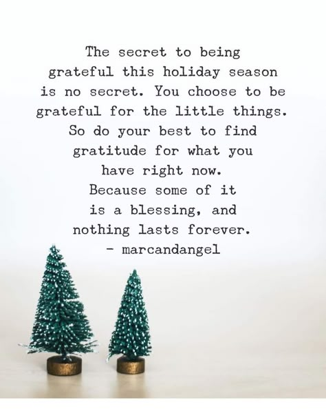 Notes In English, Books Thoughts, Gratitude Attitude, Christmas Wishes Messages, Holiday Memes, Chill Quotes, Holiday Quote, Christmas Thoughts, Christmas Moodboard