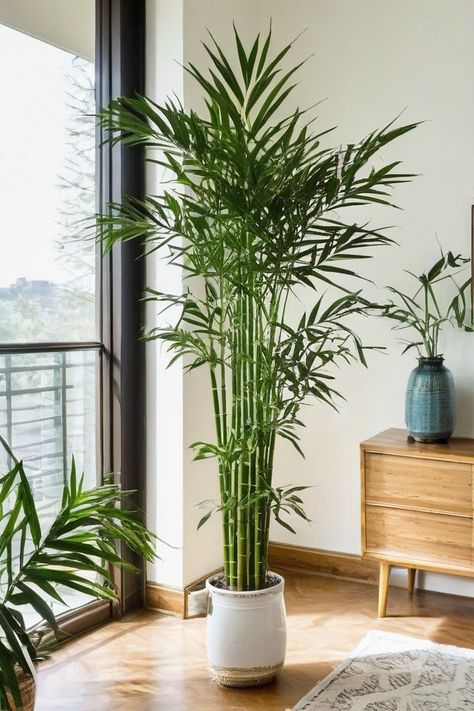 12 Best Indoor Plants For Mental Health Bedroom Tree Plant, Plants For Home Indoor, Plants For Inside The House, Large House Plants Indoor, Plant Indoor Decor, Bamboo Plant Indoor, Indoor Tree Plants, Benefits Of Indoor Plants, Apartments Ideas