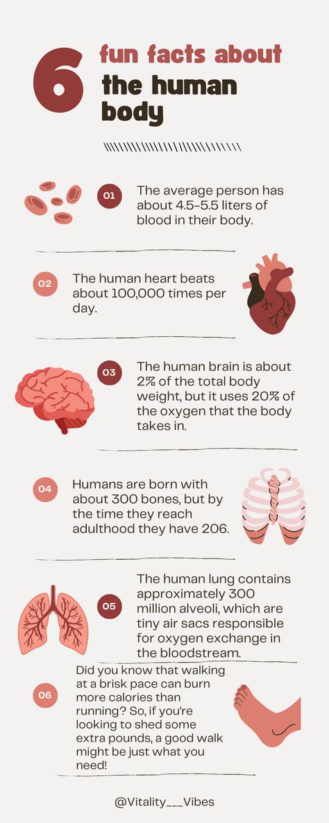 Canva Infographic Ideas, Canva Infographic, Heart Facts, Human Body Science, Body Facts, Body Science, Human Lungs, Human Body Facts, Infographic Ideas