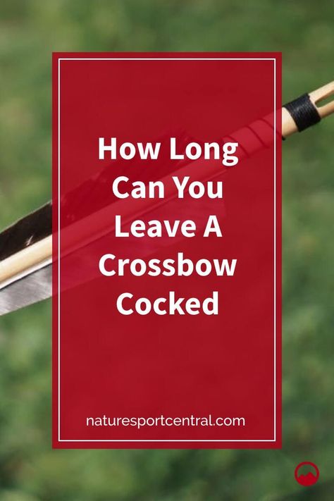 How Long Can You Leave A Crossbow Cocked #hunting #hunt #bowhunting #deerhunting #hunter #deer #archery #deerseason #buck #outdoors #huntress #whatgetsyououtdoors #crossbow #crossbowhunting #bow Crossbow Hunting Tips, Hunter Deer, Archery Tips, Hunting Shop, Cross Bow, Deer Hunting Tips, Bow Sights, Crossbow Hunting, Deer Season