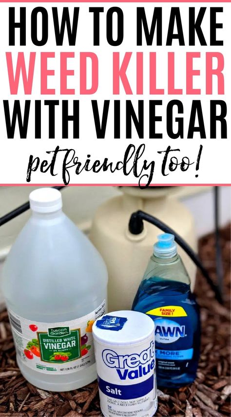 Ready for an all natural weed killer for your garden beds? Check out this easy to make homemade weed killer. It only takes 3 ingredients and it is safe for pets! Kill Weeds With Vinegar, Kill Weeds Naturally, All Natural Cleaning Products, Killing Weeds, Garden Weeds, Natural Cleaners, Cleaners Homemade, Diy Natural Products, Natural Cleaning Products