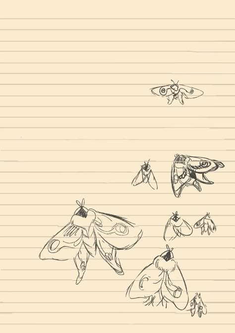 Ellie Journal, Moth Drawing, Endure And Survive, Look For The Light, Cocoppa Wallpaper, Ellie Williams, Arte Sketchbook, Life Is Strange, Sketchbook Art Inspiration