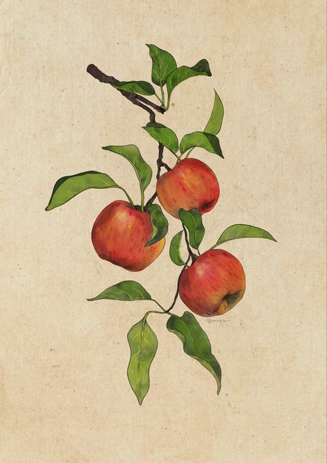 Revelations Art, Apple Tree Drawing, Apple Branch, Apple Drawing, Tree Drawing Simple, Apple Tattoo, Vintage Food Posters, Drawing Apple, Fall Journal