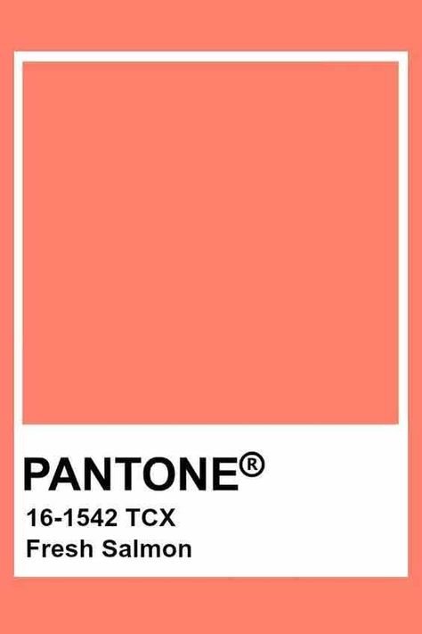 Salmon Orange Color, Salmon Color Aesthetic, Salmon Aesthetic, Peach Pantone, Orange Pantone, Pantone Orange, Coral Pantone, Salmon Colour, Pantone Tcx