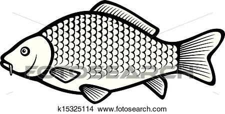 Carp fish (Common carp) View Large Clip Art Graphic Carp Fishing Tips, Fish Outline, Carp Fishing Rigs, Common Carp, Carp Fishing Bait, Carp Fish, Fishing Photos, Fishing For Beginners, Fishing Photography