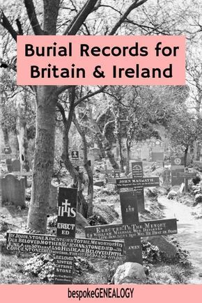 Genealogy Ireland, Free Genealogy Sites, Family History Projects, Irish Genealogy, Genealogy Organization, Genealogy Search, Irish Ancestry, Family Tree Research, Ancestry Family Tree