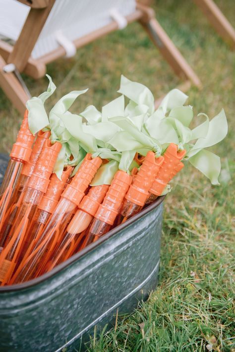 Rabbit Theme Party, Peter Rabbit Theme Party, Peter Rabbit 1st Birthday, Bunny Birthday Theme, Easter Birthday Party, Spring Birthday Party, Some Bunny Is One, Bunny Birthday Party, Peter Rabbit Birthday