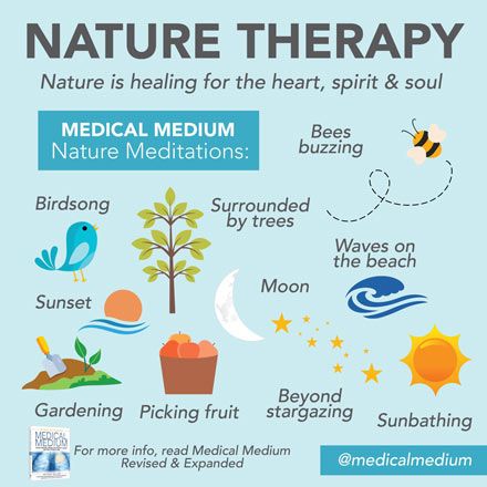 Medical Medium: Nature Therapy Cleanse To Heal, Environmental Wellness, Eco Therapy, Medical Medium Recipes, Medium Recipe, Waves On The Beach, Nature Therapy, Anthony William, Auto Immune