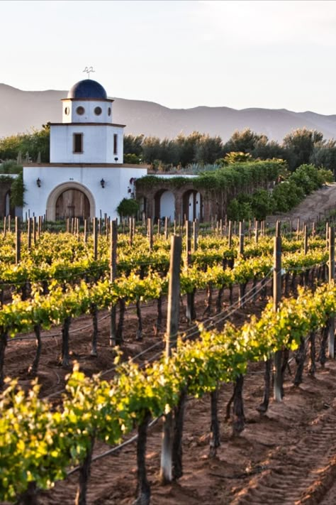 Valle de Guadalupe: Mexico's Premier Wine Country Baja California Norte, Wizarding Schools, Ensenada Baja California, Wine Tourism, Vision Board Pics, Wine And Food, The Cradle, South Central, Model Home